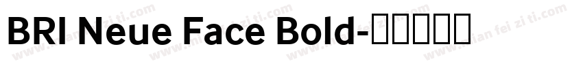 BRI Neue Face Bold字体转换